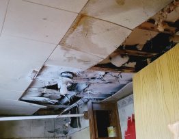 Painters and drywallers in Mishawaka