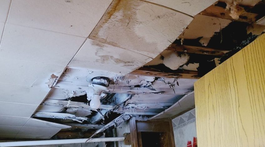 Painters and drywallers in Mishawaka