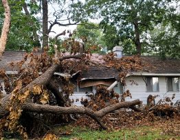 Does insurance cover damage to roof from storm?