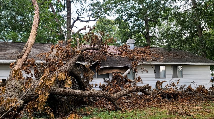 Does insurance cover damage to roof from storm?